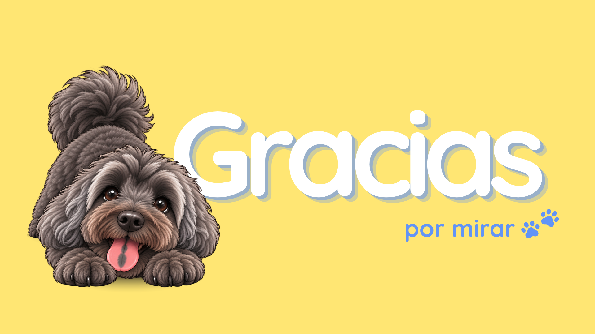 Cierre de la presentación de Guappetit: Chino junto al texto «Gracias por mirar»