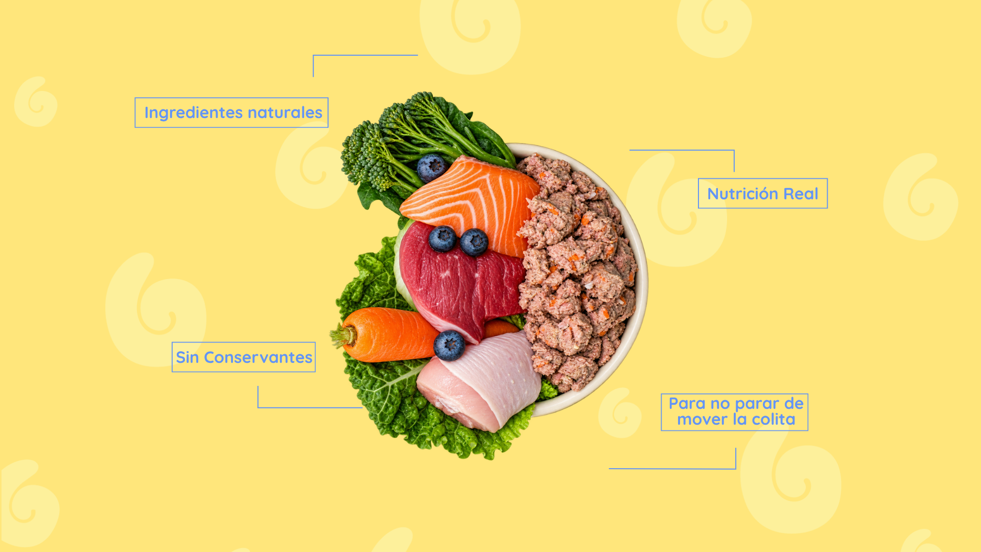 Bowl con ingredientes naturales de Guappetit: carne, salmón, pollo y verduras frescas